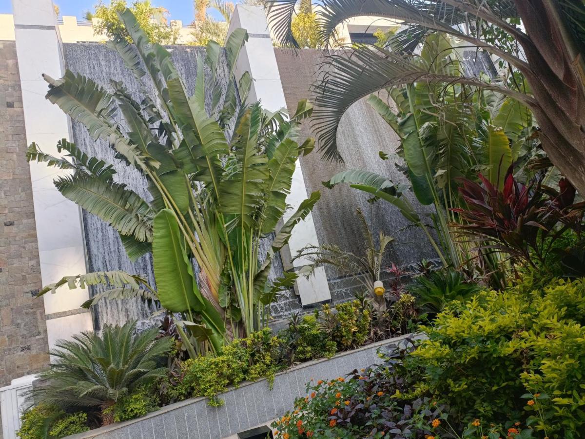קהיר Sheraton Ocean 601-A - Private Apartments מראה חיצוני תמונה