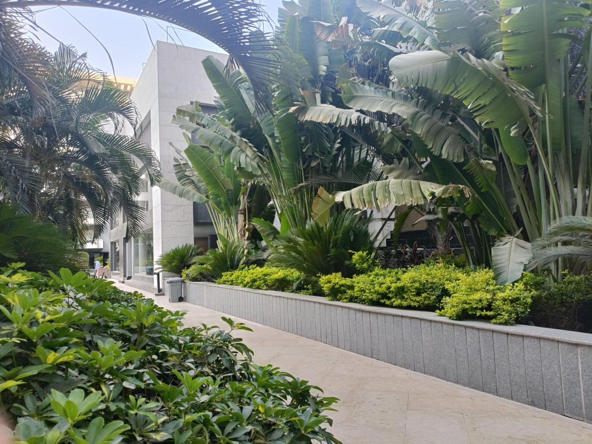 קהיר Sheraton Ocean 601-A - Private Apartments מראה חיצוני תמונה