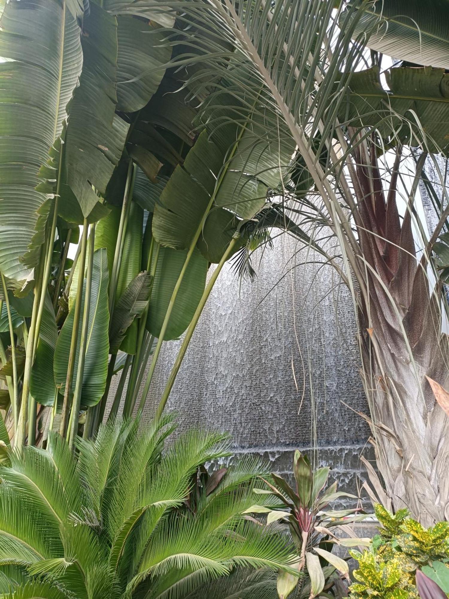 קהיר Sheraton Ocean 601-A - Private Apartments מראה חיצוני תמונה